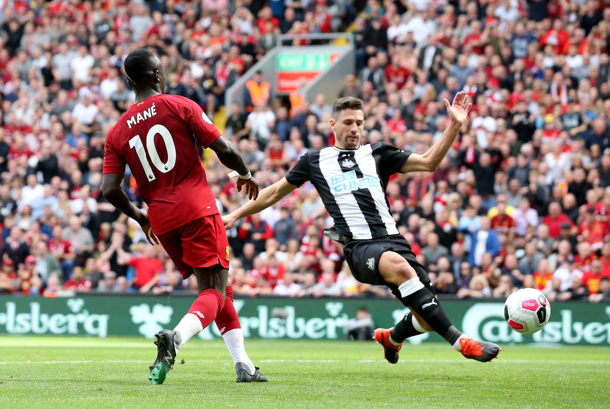 星光熠熠的 星光熠熠的