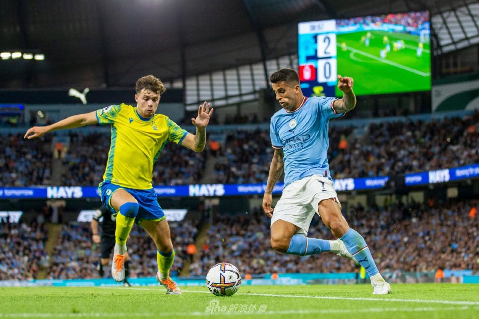 哈兰德的成 哈兰德的成